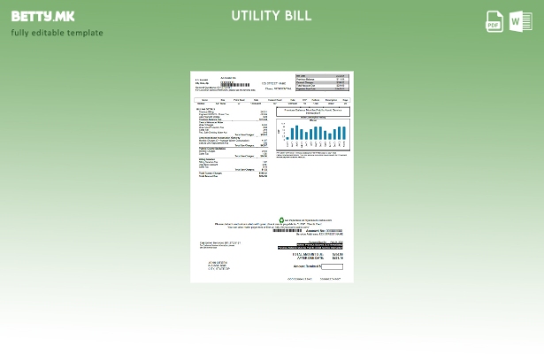 Модерен стил USA CARKW шаблон за комунални сметки